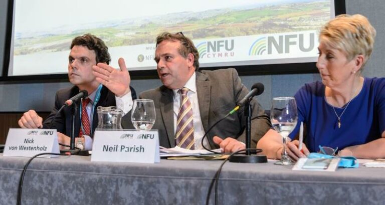 MPs to question standards of imported food in future trade deals in EFRA select committee