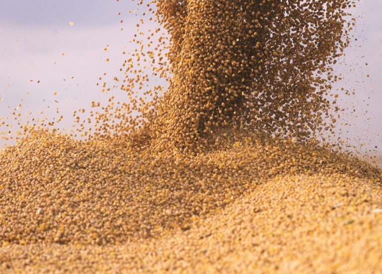 Falling soya meal prices provide some respite for UK growers