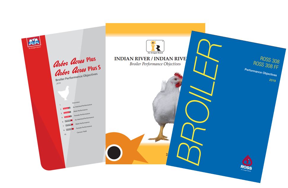 New broiler performance objectives released by Aviagen Poultry News
