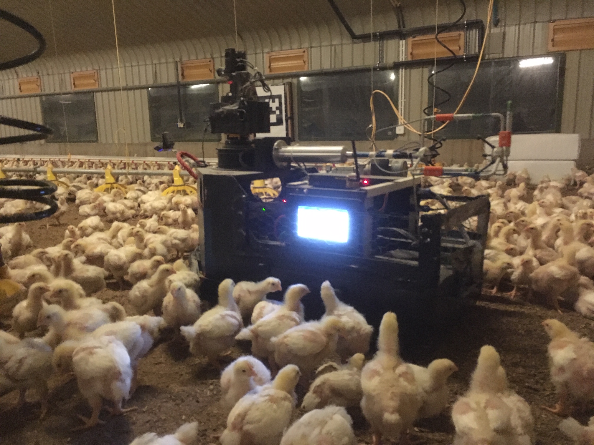 Analysis A roving robot that has unexpectedly help boost FCR could be