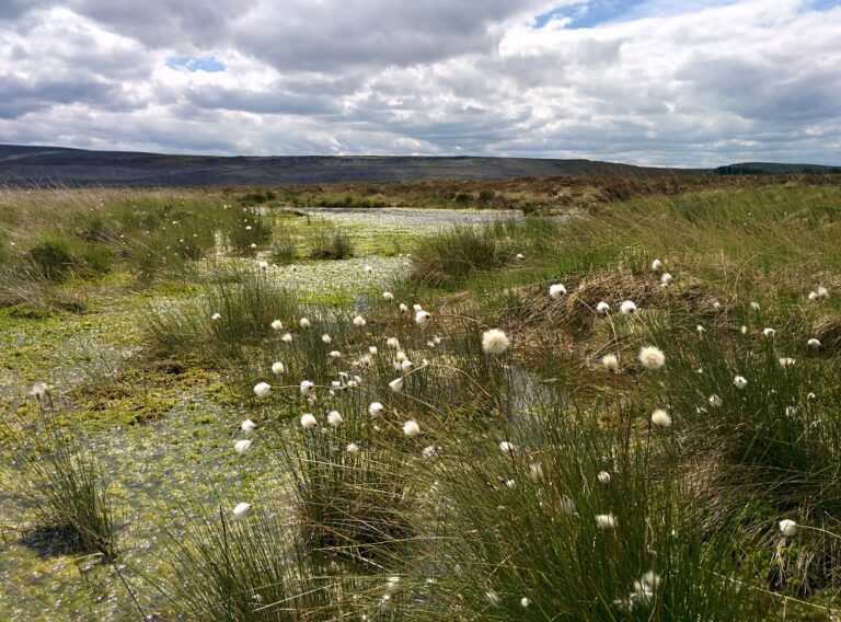 New round of government funding for farming communities