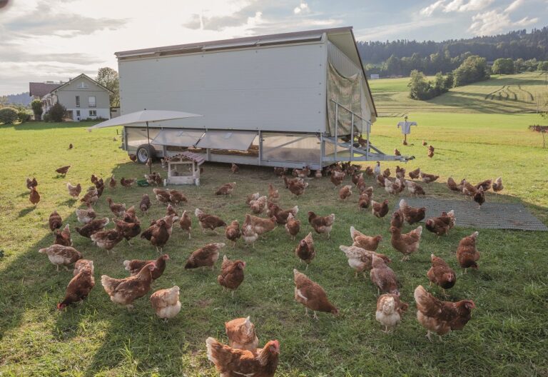 Laws affecting tenant farmers to be made more flexible