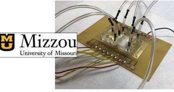 New biosensor promises rapid salmonella detection Missouri