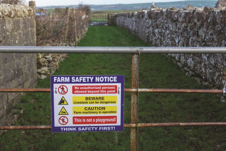 Farm safety must remain a priority with more children on farm during pandemic