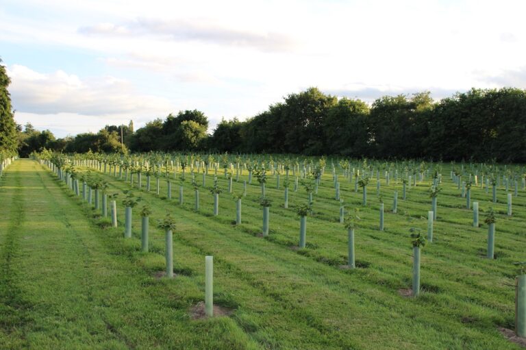 Environment Bill must not compromise food supply, farmers say