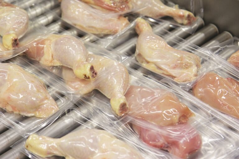Poultry study points to genes linked to Campylobacter