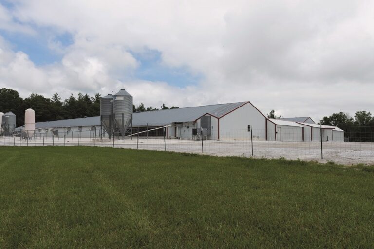 Biosecurity reminder after several new cases of non-notifiable avian flu