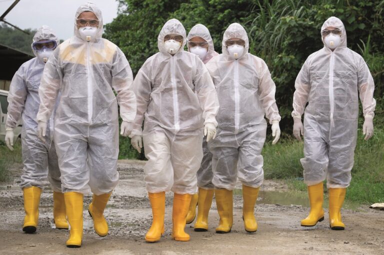Low pathogenic non-notifiable avian flu confirmed in Scottish free range laying flock