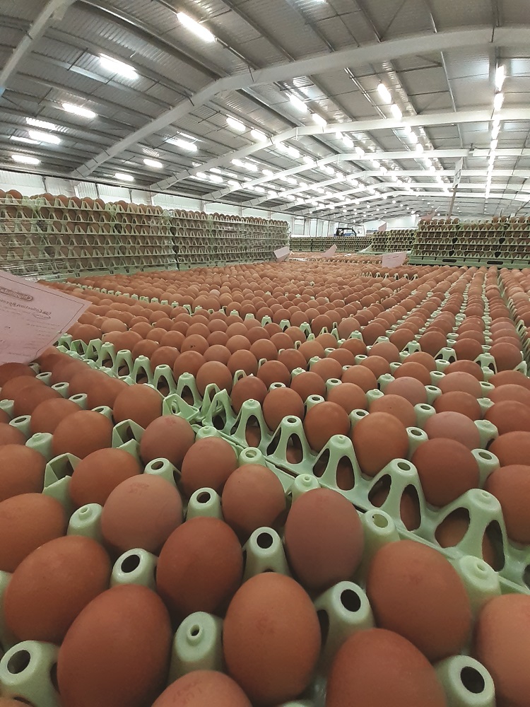 Exclusive interview: Inside Chippindale Foods