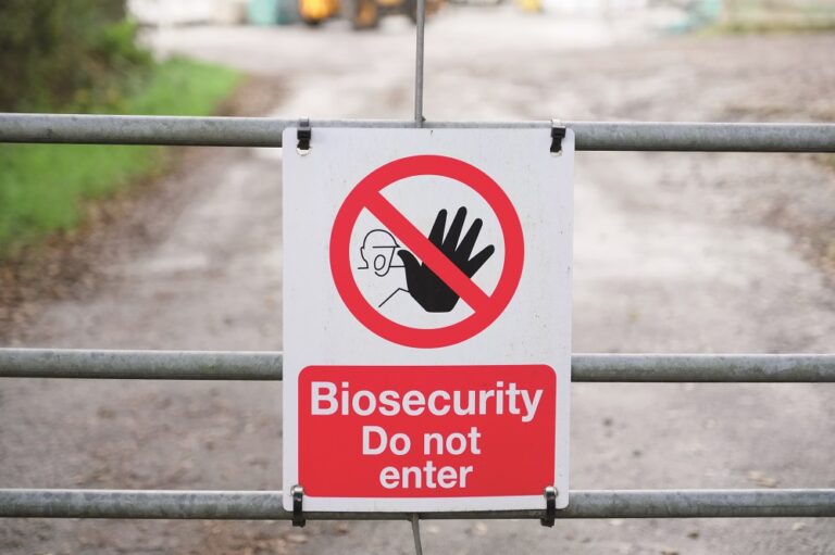Avian influenza: no room for complacency
