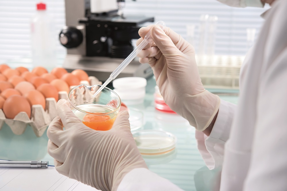 The importance of salmonella testing during lockdown Poultry News