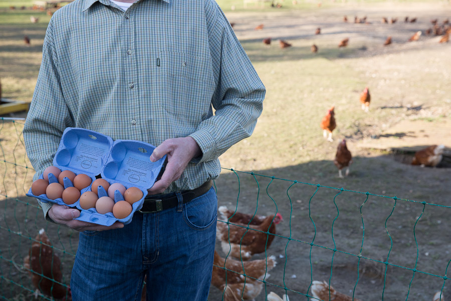 Local egg sales double during lockdown Poultry News
