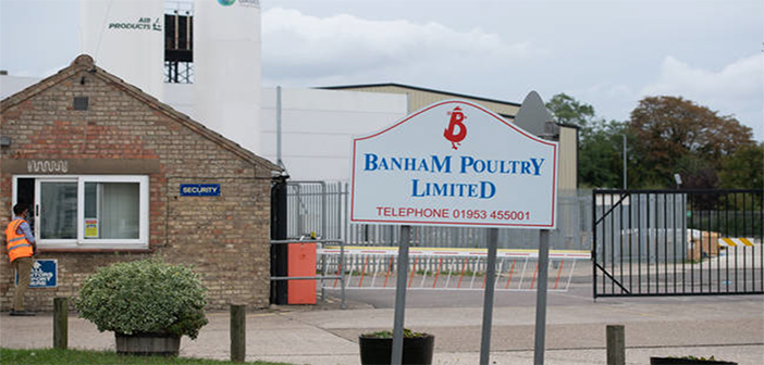 Banham Poultry workers treated after Norfolk chicken plant chemical leak