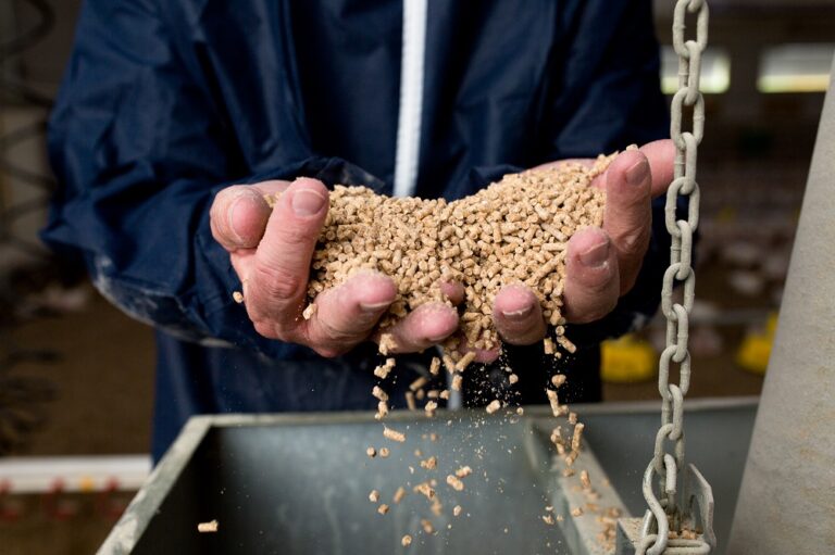 Moy Park achieves certification for responsible soya sourcing