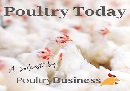 Poultry Today Podcast: the labour crisis