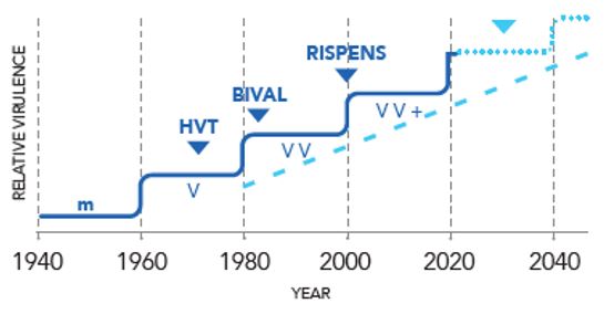 Stepwise evolution of virulence of MDV isolates: past history and future predictions - Adapted graph from Witter, 1998, page S504