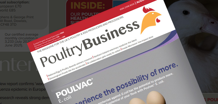 Protected: Poultry Business – August 2022