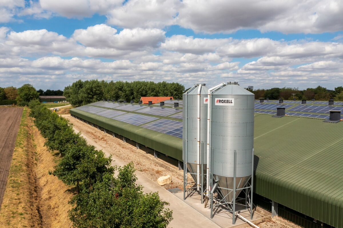 Moy Park unveils new project to reduce emissions Poultry News