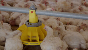 technology helps improve margins