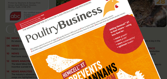 Poultry Business – November 2023